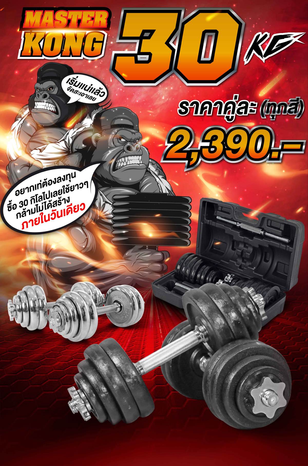 ดัมเบล-หมามีกล้าม-03