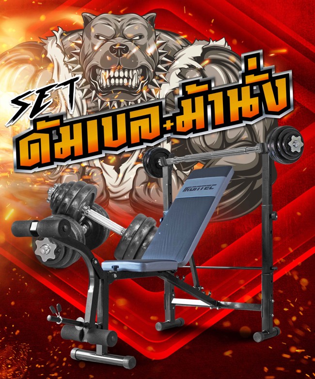 ดัมเบล-หมามีกล้าม-22