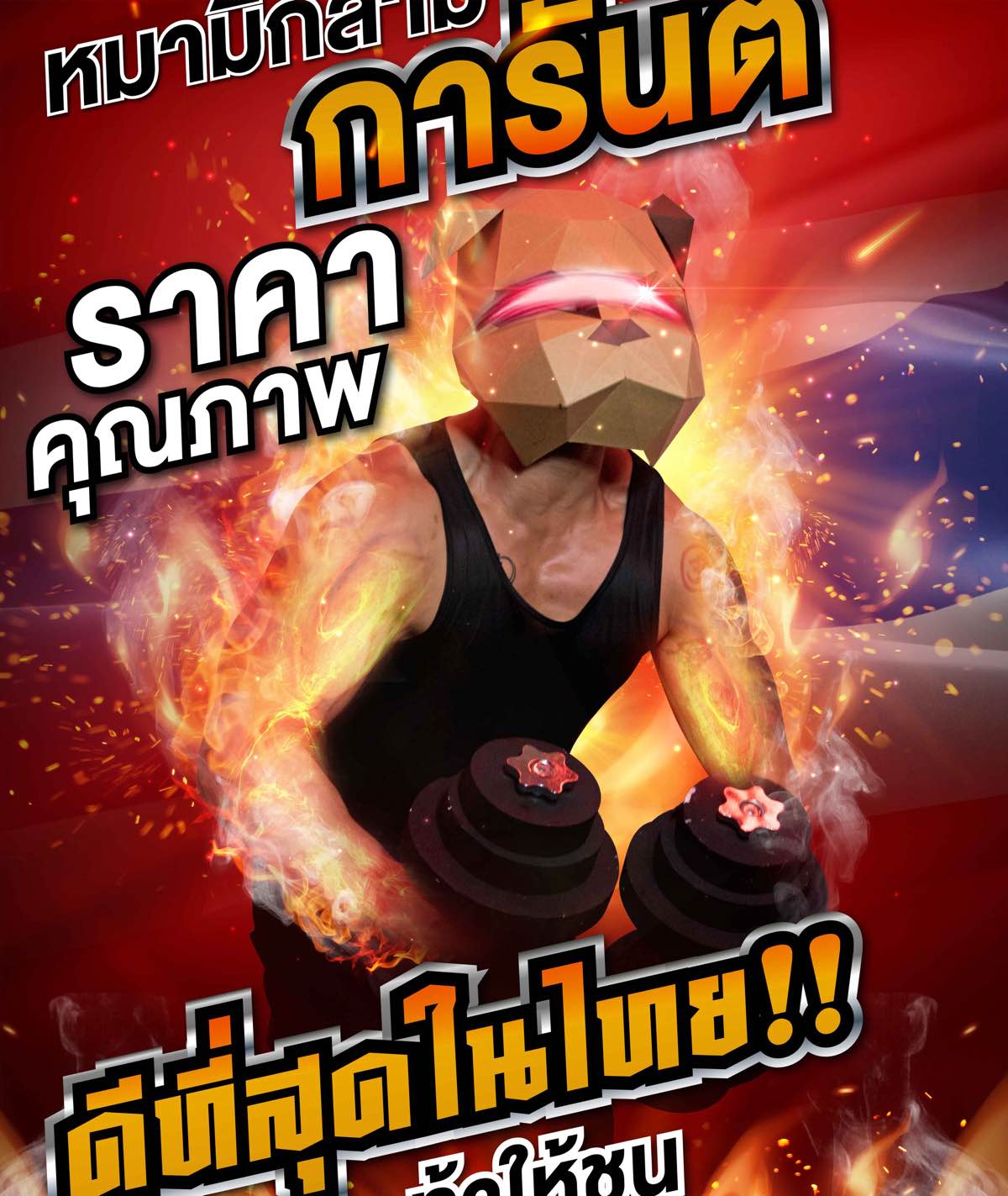 ดัมเบล-หมามีกล้าม-4