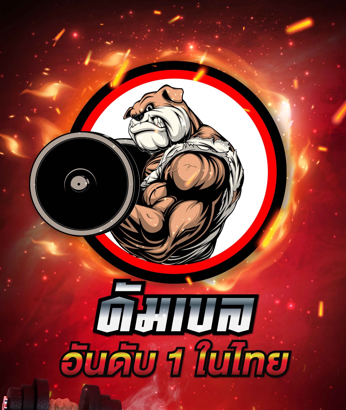 ดัมเบล-หมามีกล้าม-1