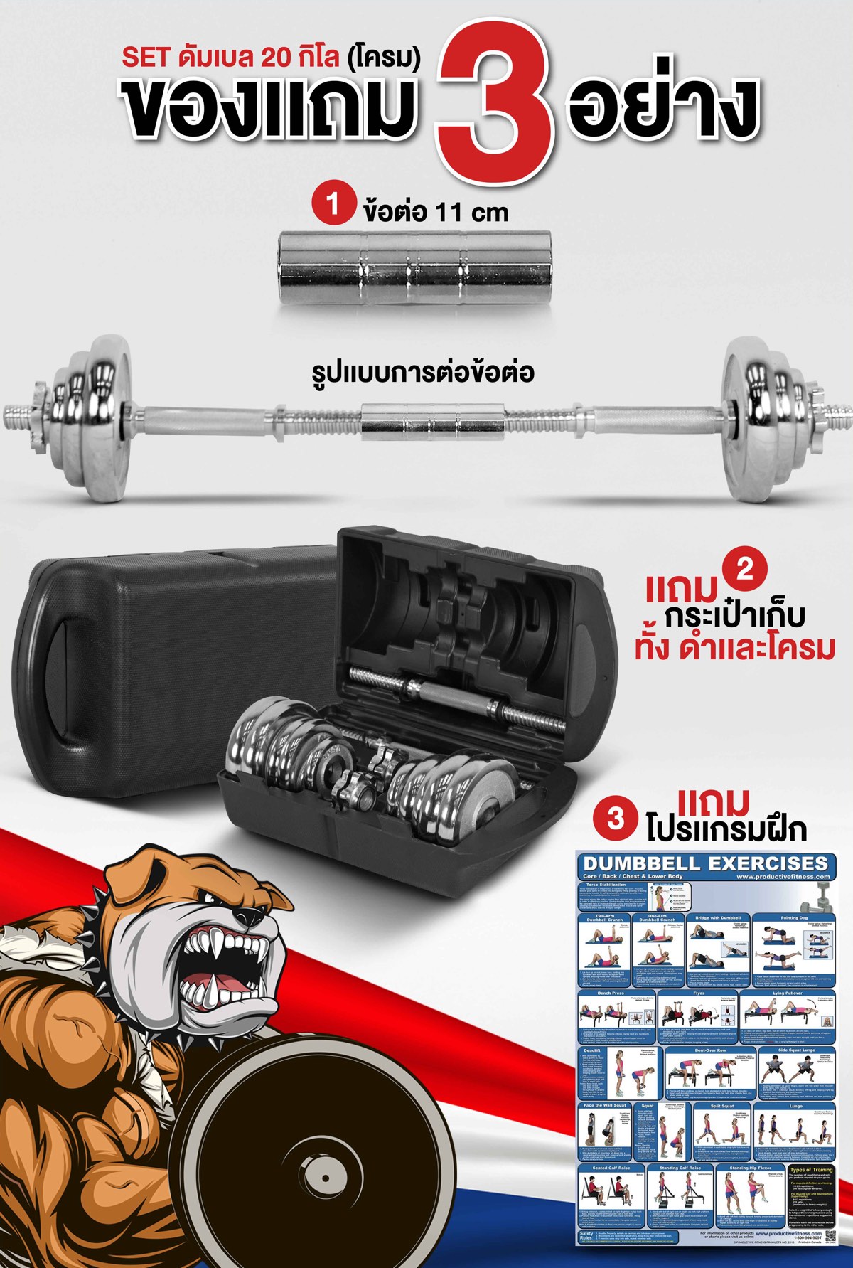 ดัมเบล-20-chrome0