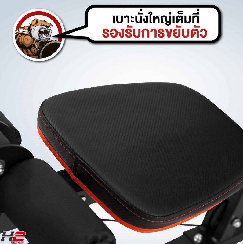 ดัมเบล หมามีกล้าม