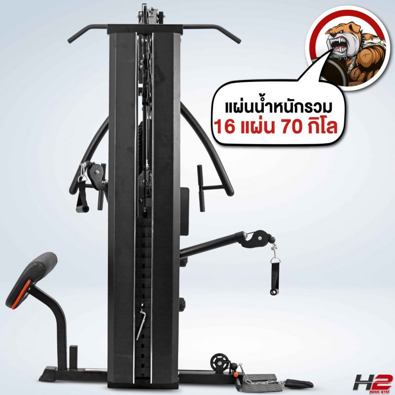ดัมเบล หมามีกล้าม