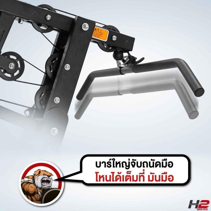 ดัมเบล หมามีกล้าม