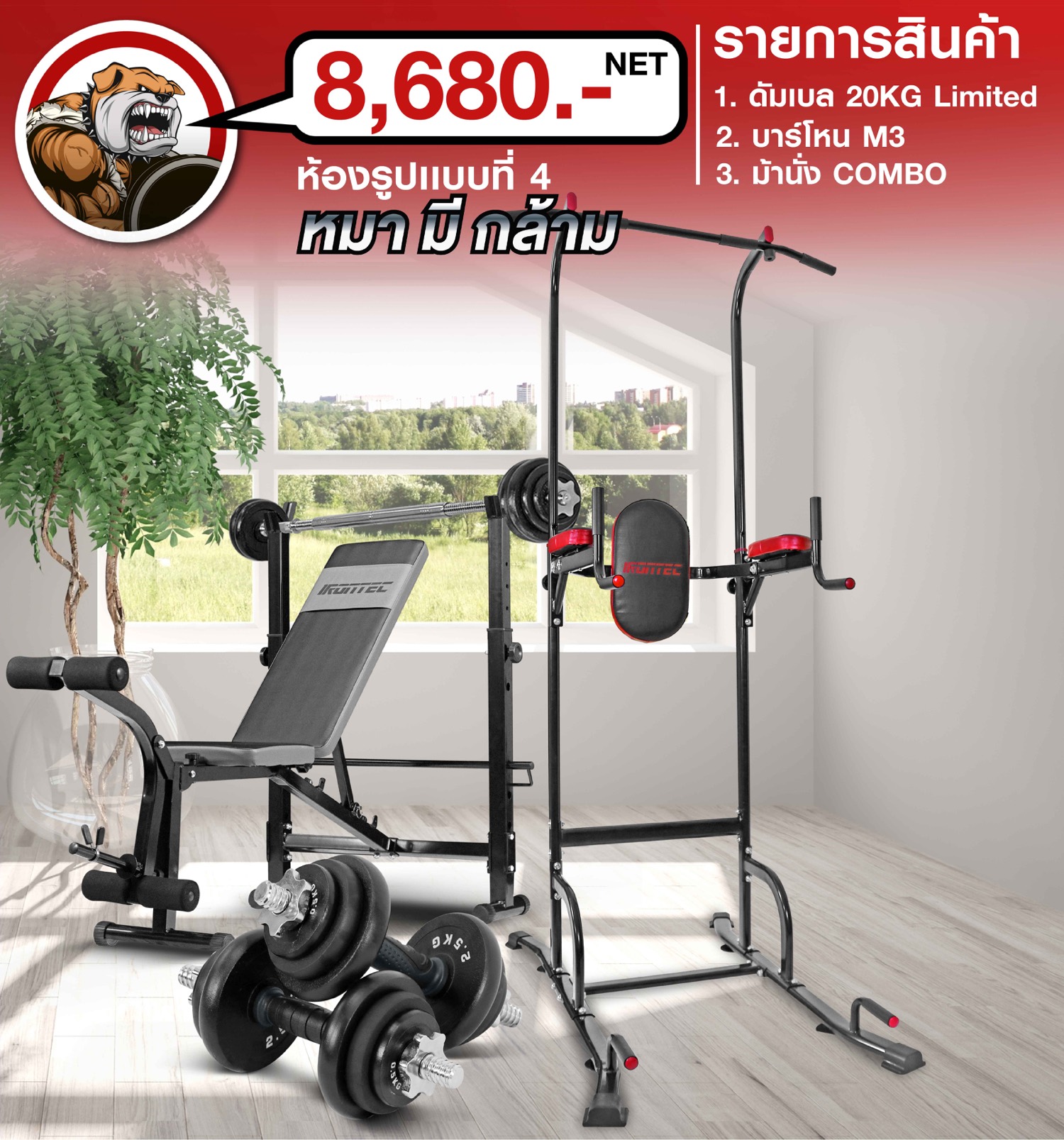 เครื่องออกกำลังกาย-